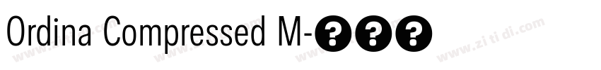 Ordina Compressed M字体转换